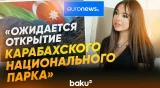 Лейла Алиева рассказала "Euronews" о деятельности IDEA - Baku TV | RU