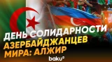 Интервью с главой координационного совета азербайджанцев в Алжире Хумар Набиевой - Baku TV | RU