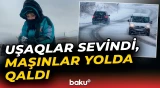 Göygöl sakinləri qarlı havanı belə qarşıladı - Baku TV