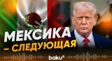 Трамп  о подготовке к наземной операции в Мексике - Baku TV | RU