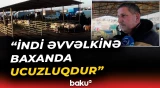 Göyçayda heyvan bazarı fəaliyyətə başladı - Baku TV