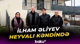 İlham Əliyev Ağdərə rayonunun Heyvalı kəndində görülmüş işlərlə tanış olub - Baku TV