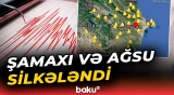 Qurumlar seysmik vəziyyətlə bağlı məlumat verdi - Baku TV