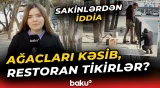 Əhmədlidə yaşıllıq sahə dağıdılır? | Sakinlərin iddiasına qurumdan cavab necə oldu? - Baku TV