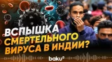 Власти Индии пытаются сдержать вспышку опасного вируса - Baku TV | RU