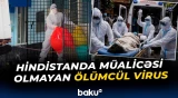 Hindistan fövqəladə vəziyyətə hazırlaşır | Nipah virusu yayılmağa başlayıb - Baku TV