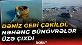 Lənkəranda dəniz suyunda azalma müşahidə olunub - Baku TV