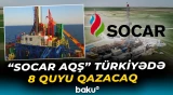 "SOCAR AQŞ" Türkiyədəki biznesini genişləndirib | Yeni planlar açıqlandı - Baku TV