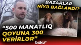“Bilmirəm ki, heyvanı harada satım” - Fermerlər çarəsiz halda | “Bu işi dayandırmalıyıq” - Baku TV