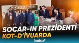 Kot-d’İvuar ilə Azərbaycan arasında enerji sahəsi ilə bağlı mühüm müzakirələr aparıldı - Baku TV