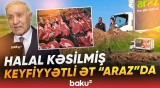 Keyfiyyətli əti necə seçək? | Ət alarkən nəzərə alınmalı nüanslar - Baku TV