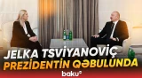 Prezident Bosniya və Herseqovina Rəyasət Heyətinin üzvü ilə nələri müzakirə etdi? - Baku TV