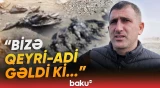 "Yaxşı hal deyil" | Lənkəranda çöl quşları müəmmalı səbəbdən tələf olub- Baku TV