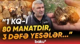"Şəkərin 1 nömrəli dərmanıdır" | Möcüzəvi təsiri olan məhsulun daha hansı faydaları var? - Baku TV