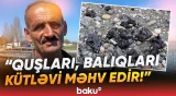 "Buna nə deyəcəklər?!" - Dənizin sahilində qəribə mənzərə | "Hamısı zəhərlənib" - Baku TV