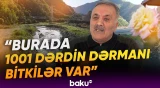 “Buranın sərvəti çoxdur” | Doğma yurda qayıdan Kəlbəcər sakinləri sevinc içində - Baku TV