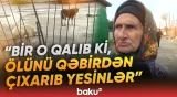 Burada sakinlər qorxu içində yaşayır | "Uşaqlara hücum edirlər" - Baku TV