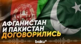 МИД КНР заявил о деэскалации конфликта между Афганистаном и Пакистаном - Baku TV | RU