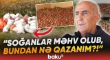 Tovuzlu fermerlər xarab olan soğanlardan gileyləndi - Baku TV
