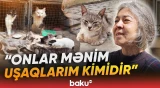 "Mən bunları etməsə idim..." | Bakı sakininin pişiklər üçün qurduğu həyat - Baku TV