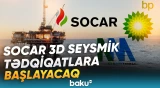 SOCAR Aralıq dənizində seysmik işlərə başlayacağı tarixi açıqladı - Baku TV