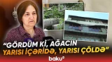 Mingəçevirdə güclü külək fəsadlara səbəb oldu | Aşan ağaclar mənzillərə ziyan vurdu - Baku TV