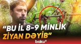 Qeyri-sabit hava fermerləri çətin vəziyyətə saldı | Meyvənin qiyməti nə qədər olacaq? - Baku TV
