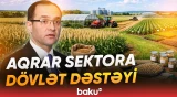 Fermerlərə nə qədər əkin subsidiyası verilib? - Nazir görülən işlərdən danışdı - Baku TV