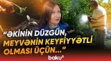 Bağçılıqla məşğul olanlara etibarlı tərəfdaş: Məşhur İtaliya şirkəti “Caspian Agro Week”də - Baku TV