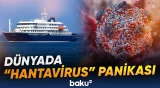 Bir sıra Avropa ölkəsi hantavirus riskinə qarşı hazırlıq görür - Baku TV