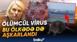 Dünyanı qorxuya salan yeni virus | Təcili tədbirlər görülür - Baku TV