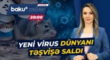 Təlaş yaradan virusun qarşısını almaq nə dərəcədə mümkündür? - ANA XƏBƏR