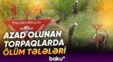 "Bu, Ermənistanın cavabdeh olduğu məsələdir" | Qarabağda mina təhlükəsi davam edir - Baku TV