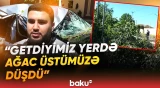 Ağcabədidə güclü külək ağacı kökündən qopardı: Ciddi fəsadlara səbəb oldu - Baku TV