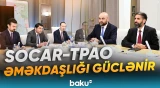 SOCAR və TPAO Xəzər layihələrində birgə işləri müzakirə etdi - Baku TV