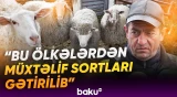 Laçının sənaye müəssisələri | Yaxın gələcək üçün hansı planlar nəzərdə tutulub? - Baku TV