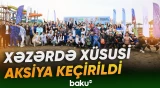 "ONE Championship"də rəqibini nokautla yenən döyüşçümüz Vətəndə | Yeni idman xəbərləri - Baku TV