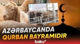 Azərbaycanda Qurban bayramı qeyd edilir - Baku TV