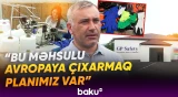 “Gündə 10 min cüt istehsal edirik” | Xankəndidə yeni müəssisə fəaliyyətə başladı - Baku TV