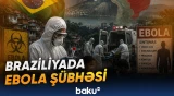 Qlobal miqyasda Ebola yayılması ilə bağlı xəbərdarlıq edilir - Baku TV