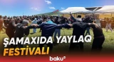 "Bu tədbirlərin böyük əhəmiyyəti var" | QAİ-nin İdarə Heyətinin sədri - Baku TV