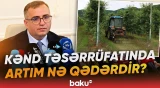 Nazir müavini kənd təsərrüfatı üzrə dinamikadan və görülən işlərdən danışdı - Baku TV