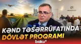 Kənd təsərrüfatı sektorunu inkişaf etdirəcək proqram gündəmdədir - Baku TV