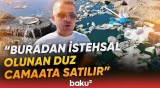 "Qəribə həşəratlar peyda olub" | Sakinləri təngə gətirən kanalizasiya problemi - Baku TV