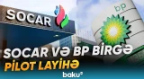 "Azəri-Çıraq-Günəşli" Xəzərin Azərbaycan sektorunda ən iri neft yatağıdır - Baku TV