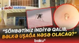 Kliniki Tibbi Mərkəzdə qalmaqal | Ağcaqanad azyaşlını xəstəxanalıq etdi - Baku TV