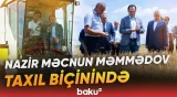 Nazir Məcnun Məmmədov taxıl biçini prosesinin gedişi ilə yaxından maraqlandı - Baku TV