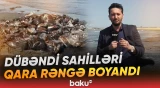 Xəzər sahilində genişmiqyaslı çirklənmə: Neft qalıqları aşkarlandı - Baku TV