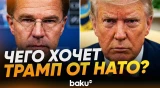 Трамп на встрече с Рютте в Белом доме вновь раскритиковал страны-члены НАТО - Baku TV | RU