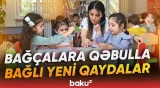Valideynlər məktəbəqədər təhsillə bağlı bu qaydaları bilsin - Baku TV